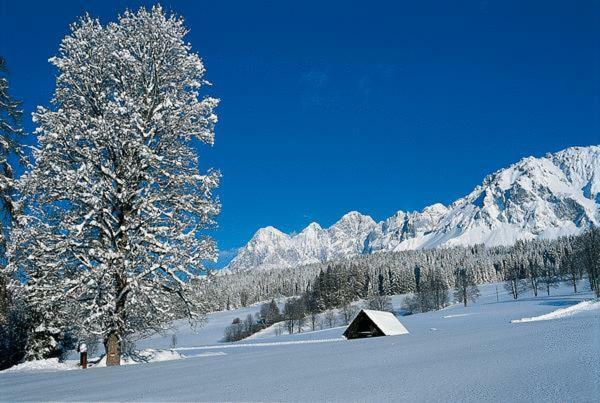 Bergfuehrerhaus Bed & Breakfast Ramsau am Dachstein Exterior photo