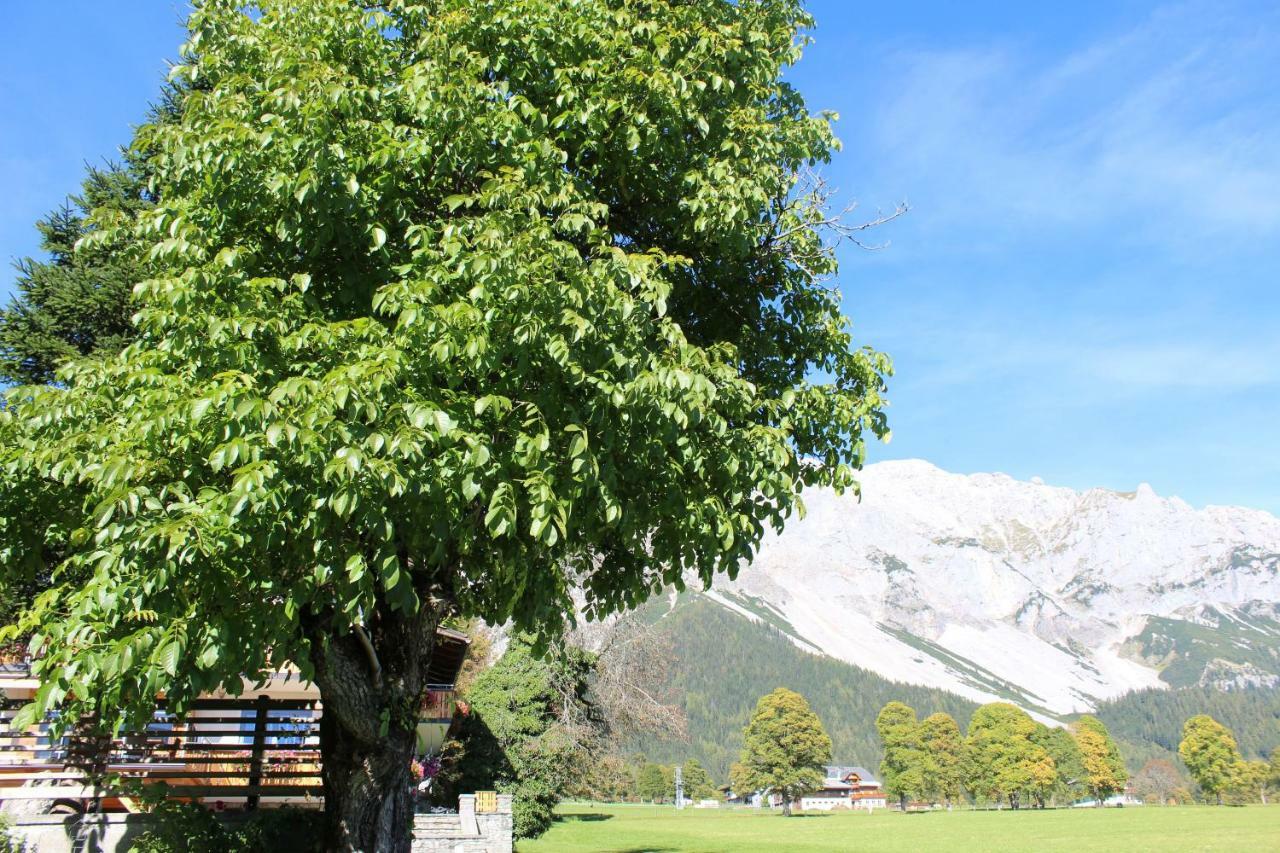 Bergfuehrerhaus Bed & Breakfast Ramsau am Dachstein Exterior photo